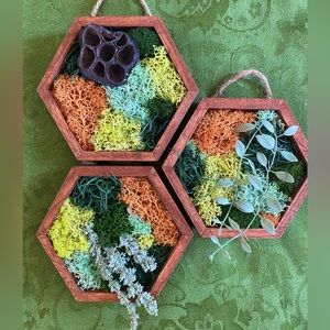 Moss art/ wall decor